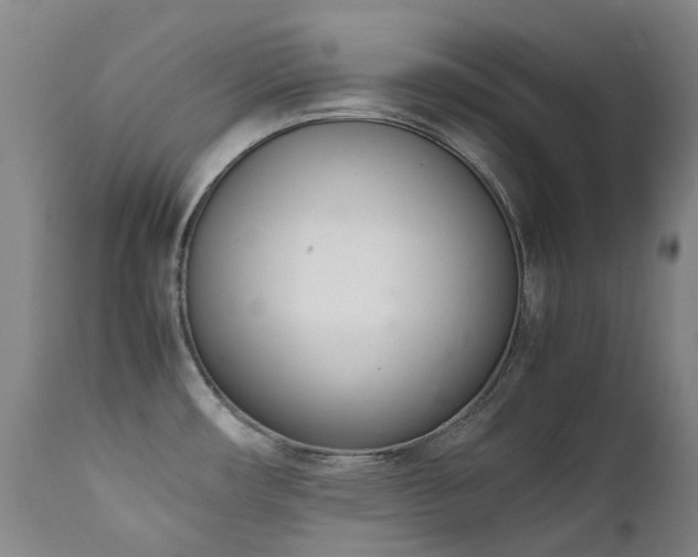 X0000111661482200907171557