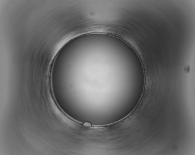 X0000111661483200907171557