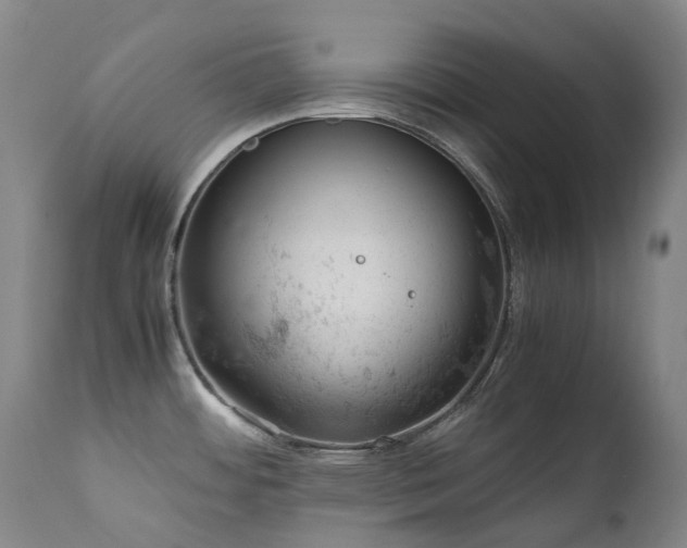 X0000111661484200907171557