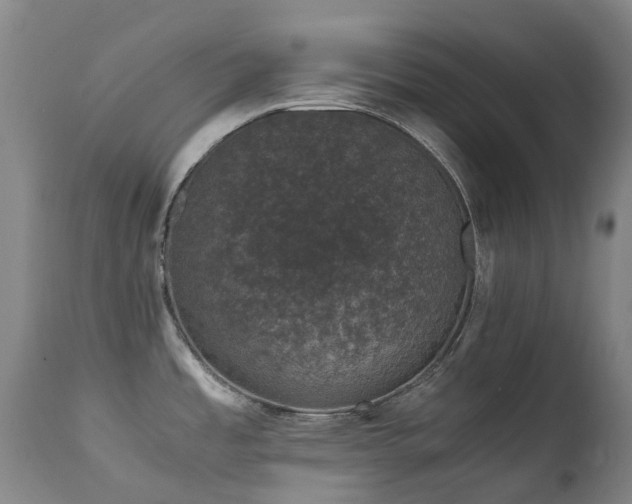 X0000111661485200907171557