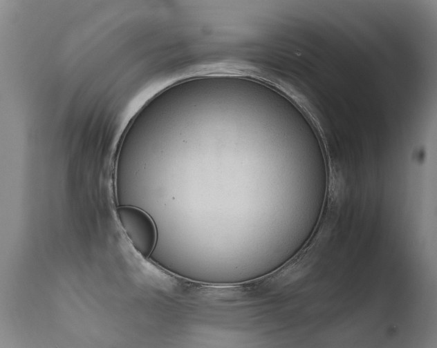 X0000111661486200907171557