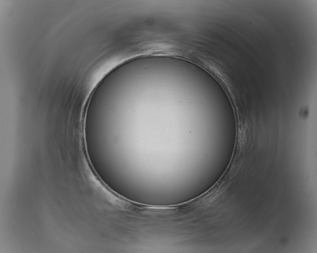 X0000111661487200907171557