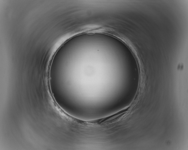 X0000111661488200907171557