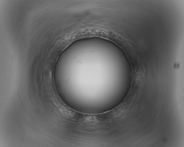 X0000111661489200907171556