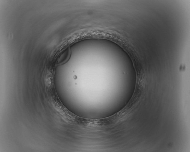X0000111661490200907171556