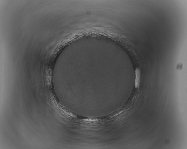 X0000111661491200907171556