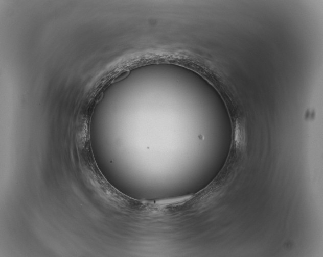 X0000111661492200907171556