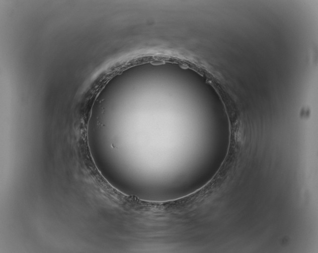 X0000111661495200907171556