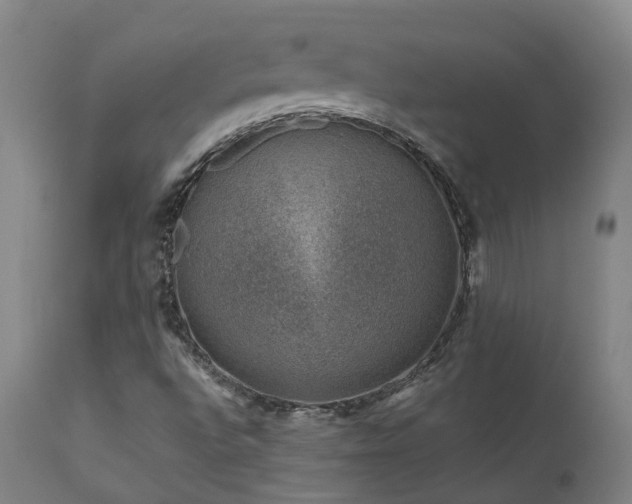 X0000111661496200907171556