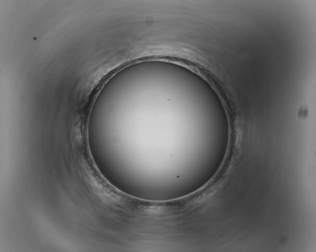 X0000111661497200907171556