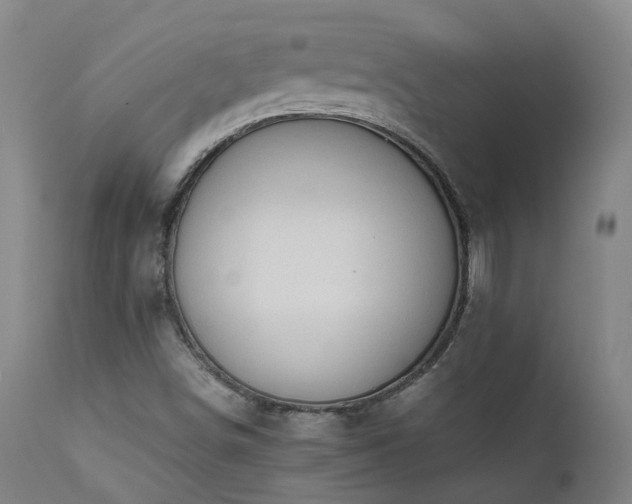 X0000111661498200907171556