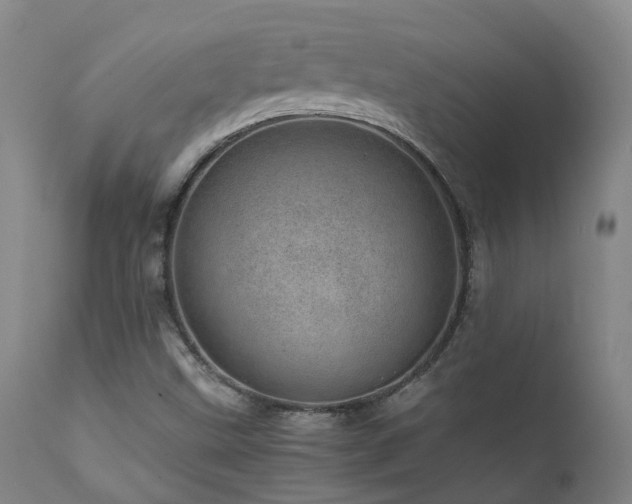X0000111661499200907171556