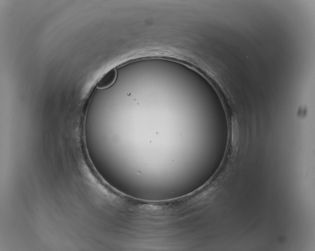X0000111661500200907171556