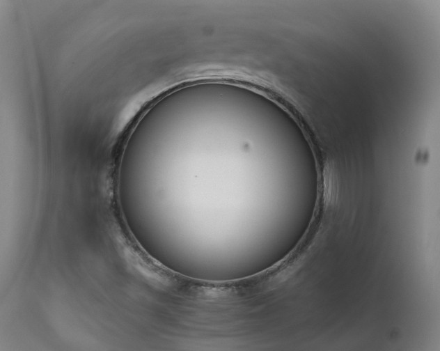 X0000111661501200907171556