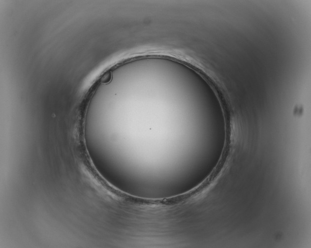 X0000111661502200907171556