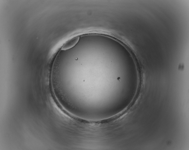X0000111661504200907171556