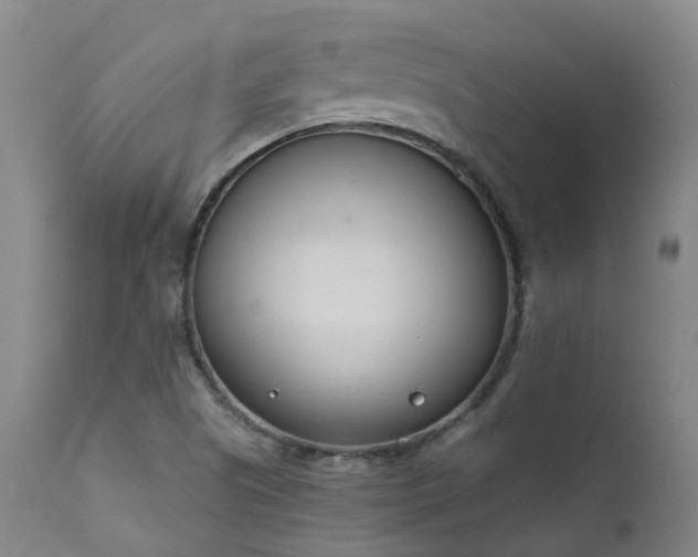 X0000111661505200907171556