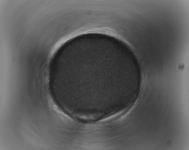 X0000111661506200907171556