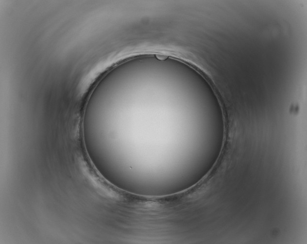 X0000111661507200907171556