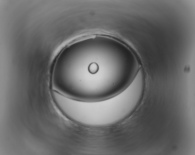 X0000111661508200907171556