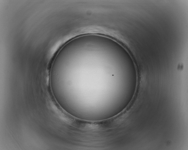 X0000111661509200907171556