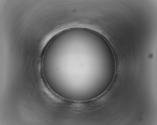 X0000111661511200907171557