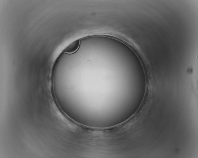 X0000111661512200907171557