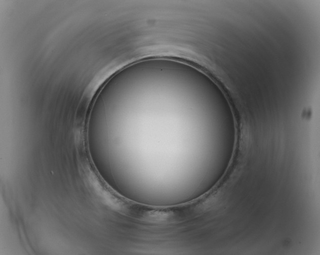 X0000111661513200907171557