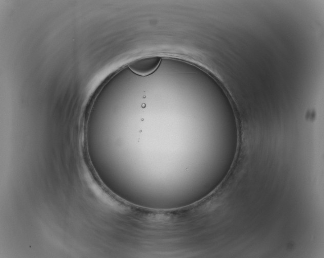 X0000111661515200907171557
