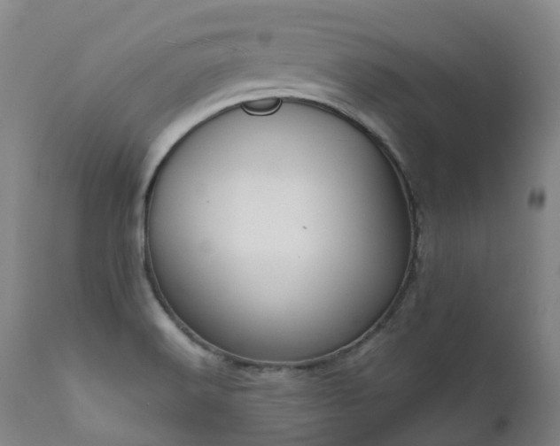 X0000111661516200907171557