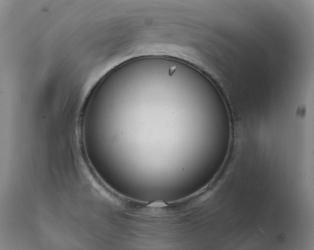 X0000111661517200907171557