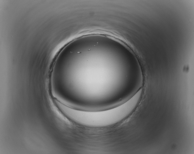 X0000111661518200907171557