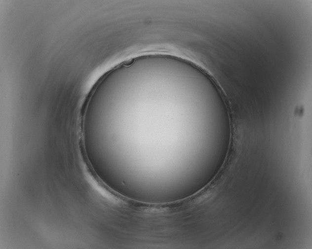 X0000111661519200907171557