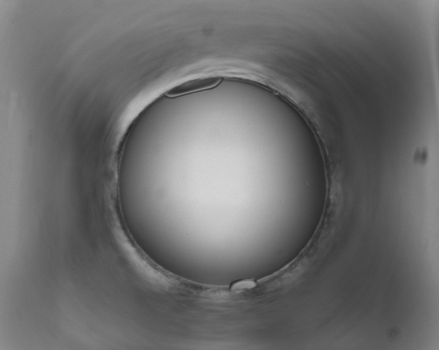 X0000111661520200907171557