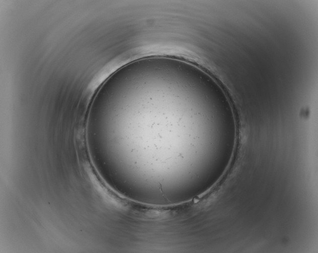 X0000111661521200907171557