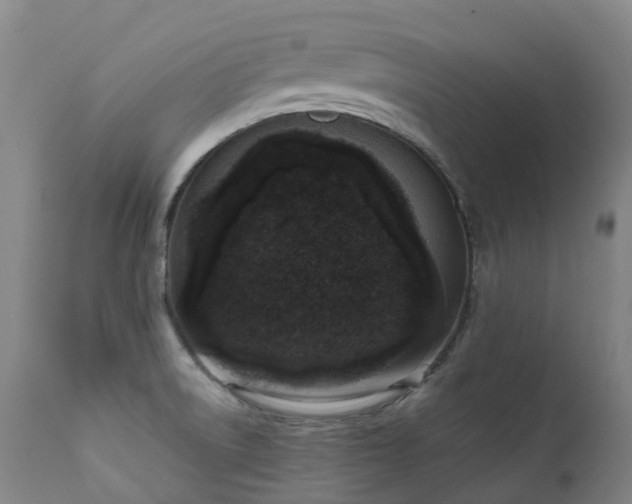 X0000111661522200907171557