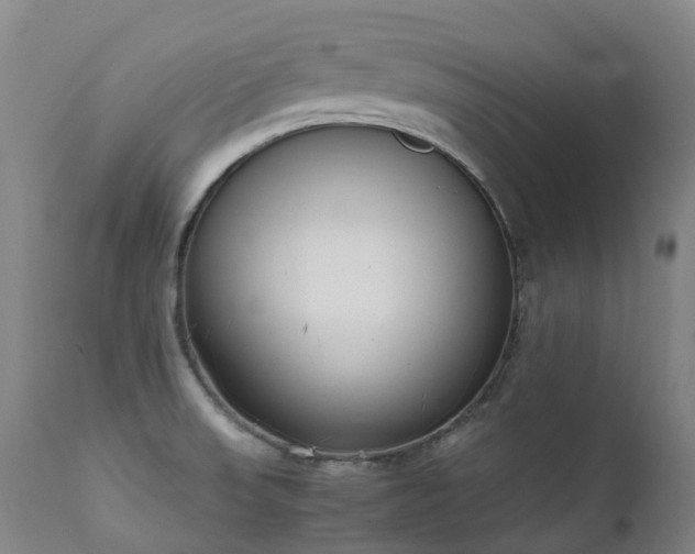 X0000111661523200907171557