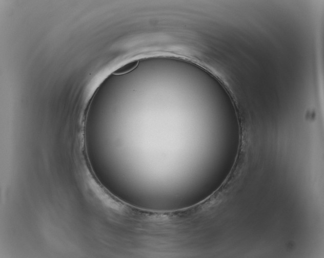 X0000111661524200907171557