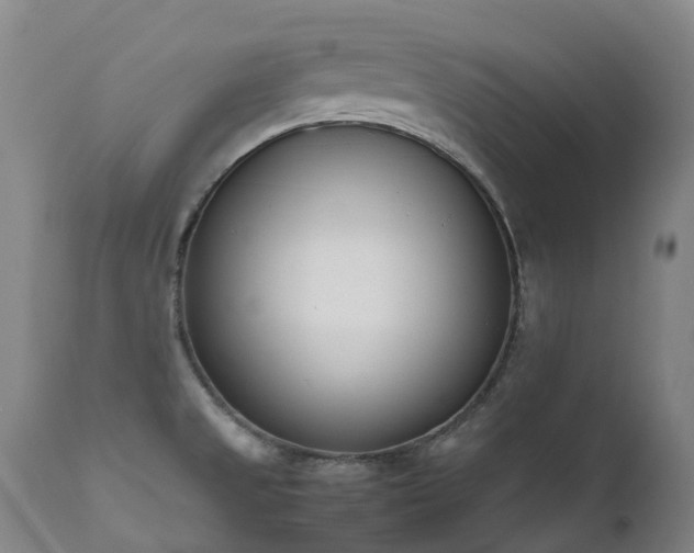 X0000111661525200907171557