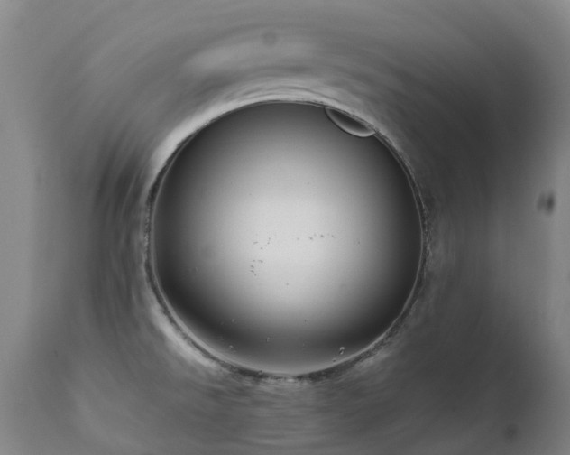 X0000111661526200907171557