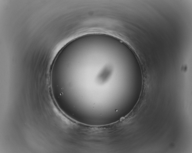 X0000111661527200907171557