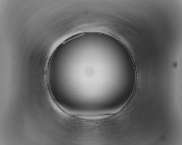 X0000111661528200907171557