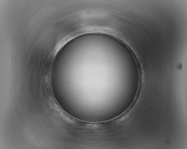 X0000111661529200907171557