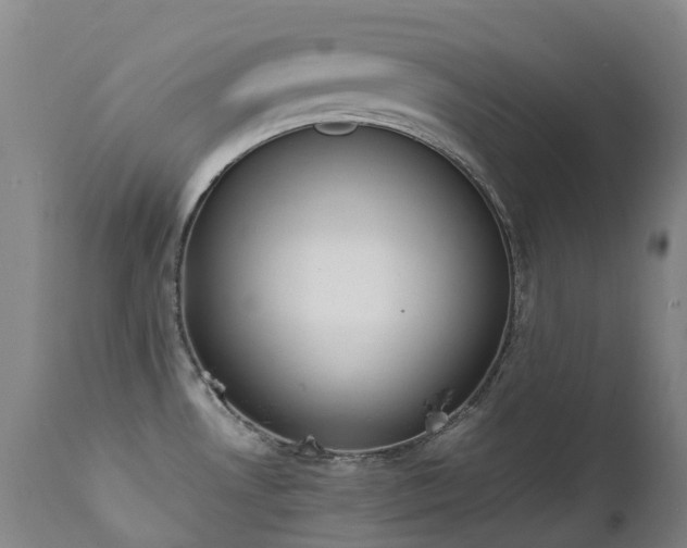 X0000111661530200907171557