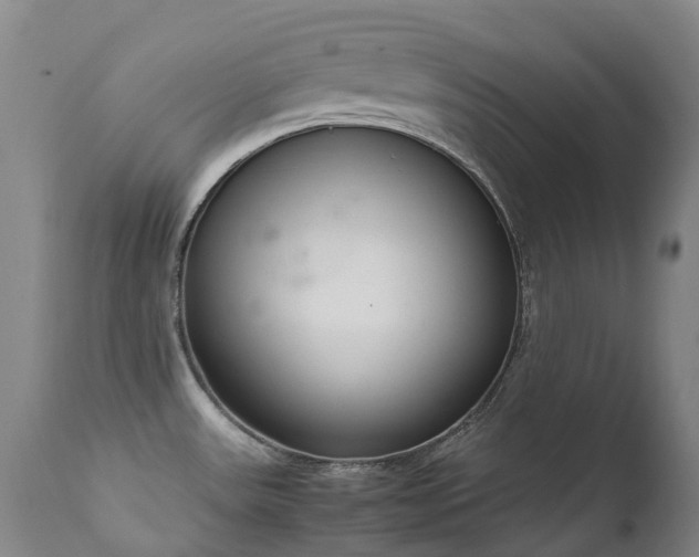 X0000111661531200907171557