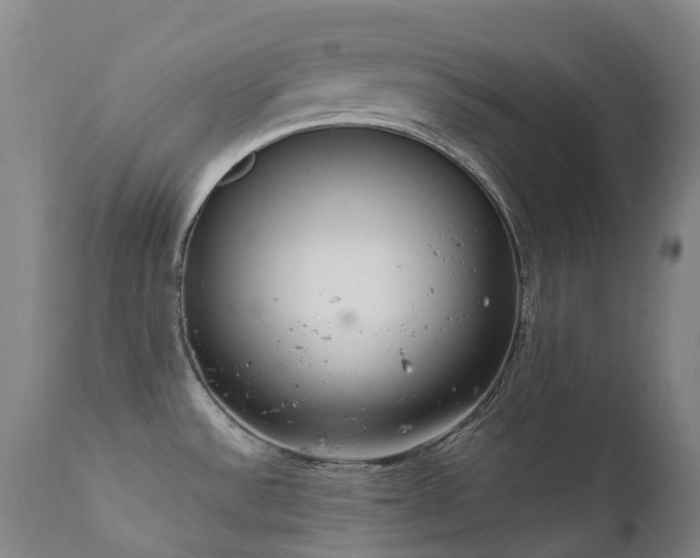 X0000111661532200907171557
