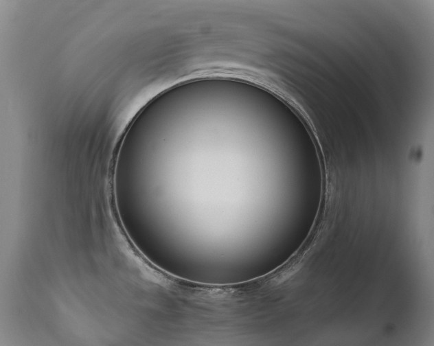 X0000111661533200907171557