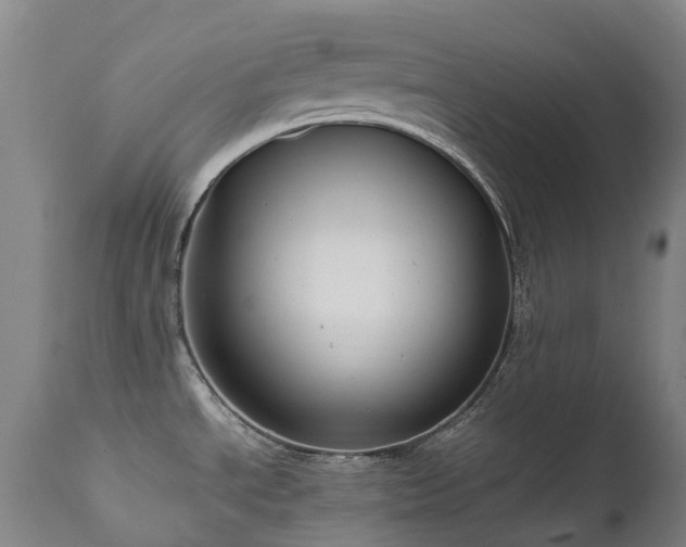 X0000111661534200907171557