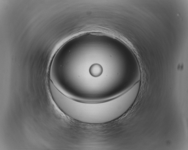 X0000111661536200907171557