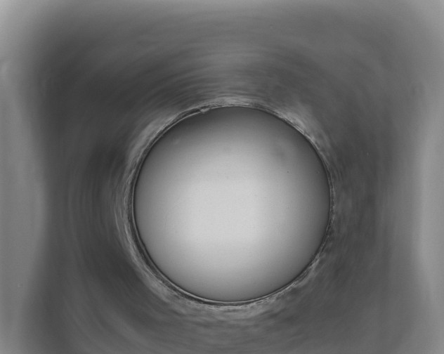 X0000111660001200907241201